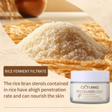 CKTUING Rice & Collagen Cream – Skin Brightening, Anti-Aging & Hydrating Face Moisturizer with Rice Extract, Collagen & Niacinamide – For Glowing, Even-Toned Skin – 1.7oz/50g